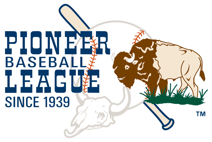 Pioneer League 1990-Pres Primary Logo iron on transfers for T-shirts